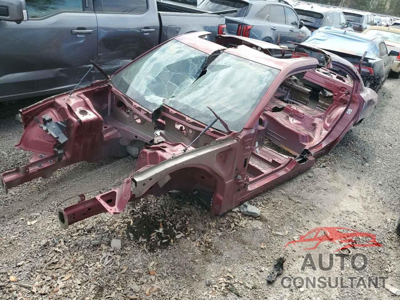 DODGE CHARGER 2019 - 2C3CDXGJ0KH618317