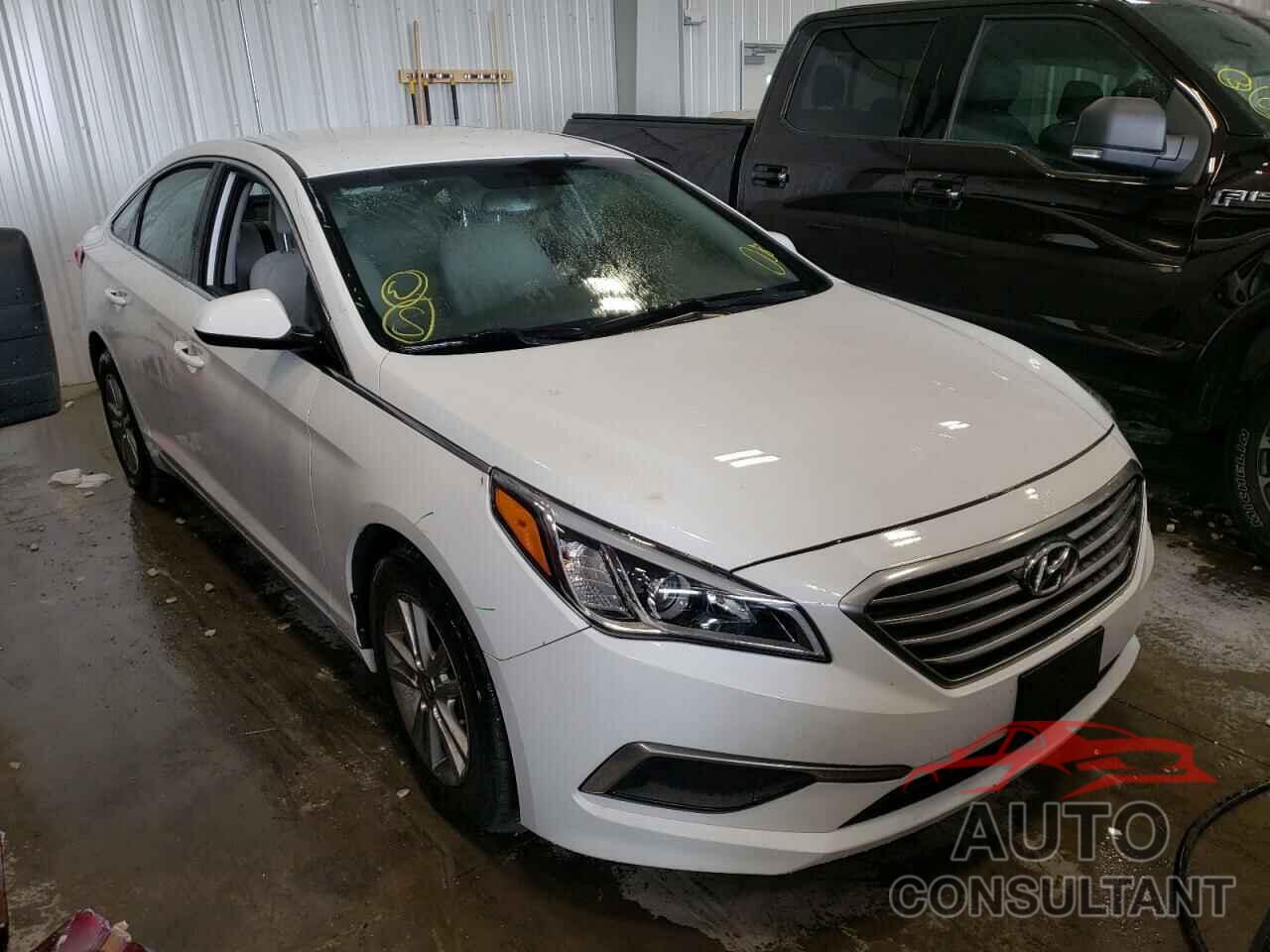 HYUNDAI SONATA 2016 - 5NPE24AF7GH371745