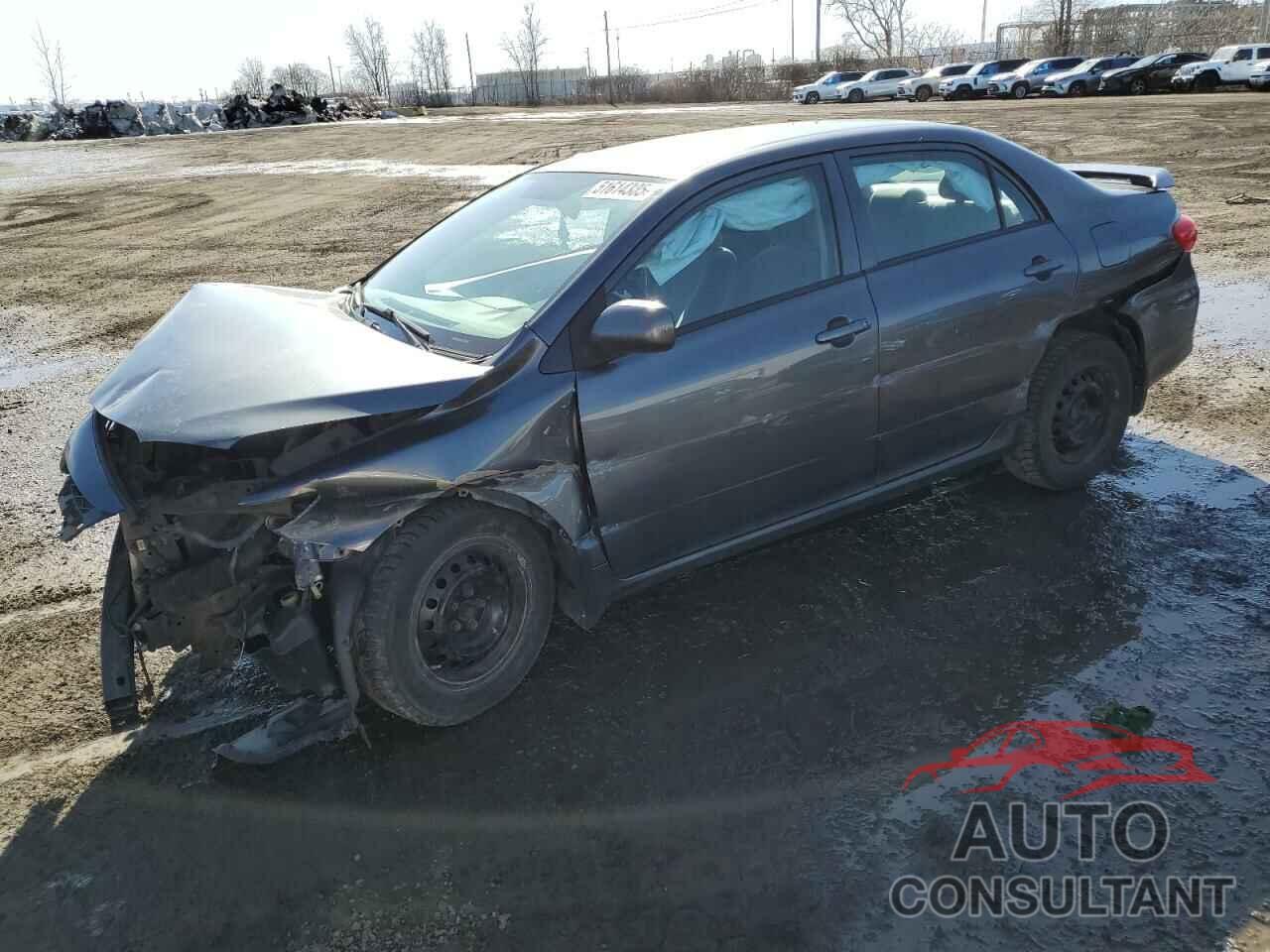 TOYOTA COROLLA 2011 - 2T1BU4EE8BC567431