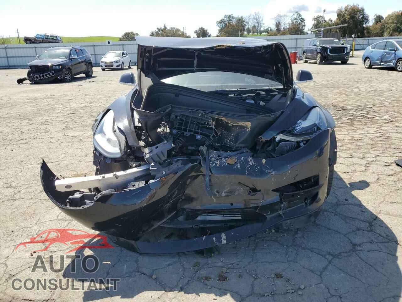TESLA MODEL 3 2019 - 5YJ3E1EA8KF424584