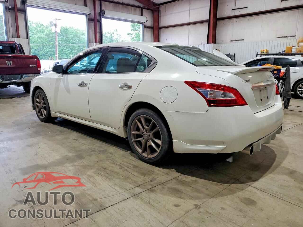 NISSAN MAXIMA 2011 - 1N4AA5AP8BC809991