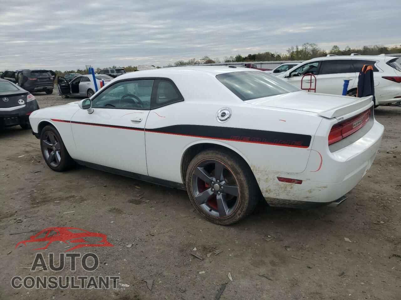DODGE CHALLENGER 2013 - 2C3CDYBT9DH679344