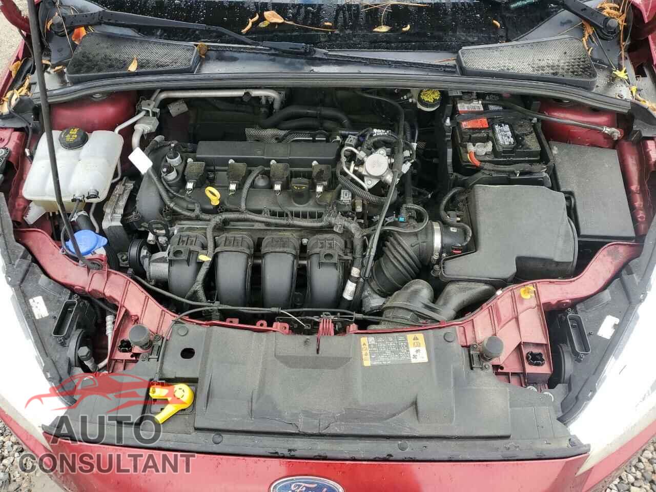 FORD FOCUS 2016 - 1FADP3K21GL368358