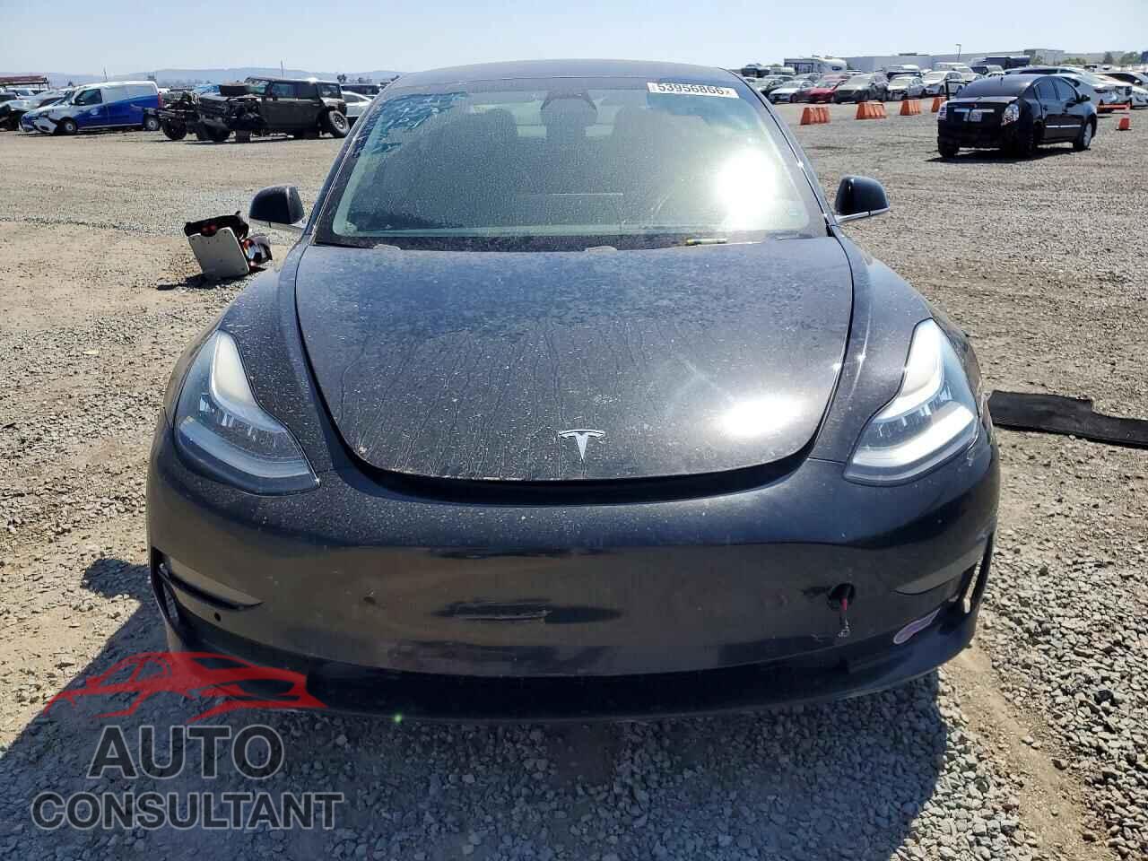 TESLA MODEL 3 2019 - 5YJ3E1EA5KF410156