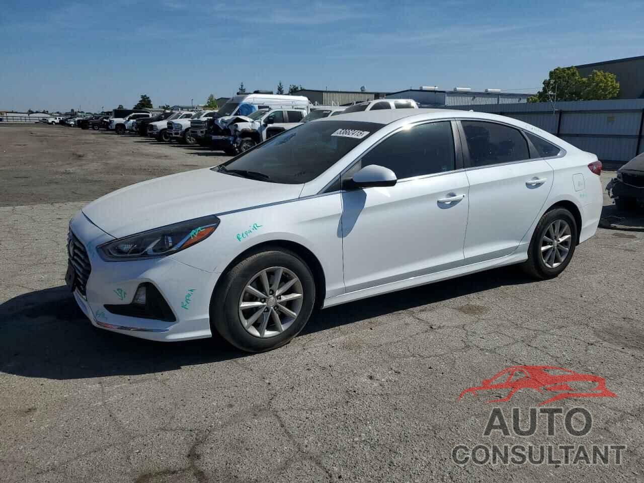 HYUNDAI SONATA 2019 - 5NPE24AF1KH818045