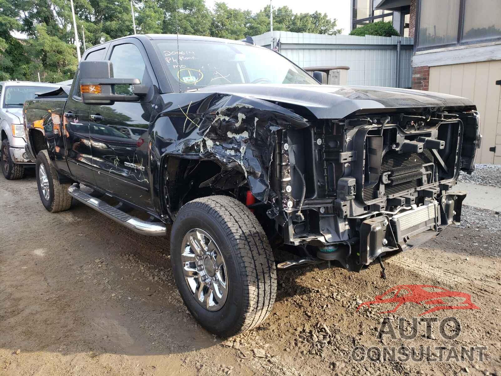 CHEVROLET SILVERADO 2019 - 2GC2KSEG1K1172436