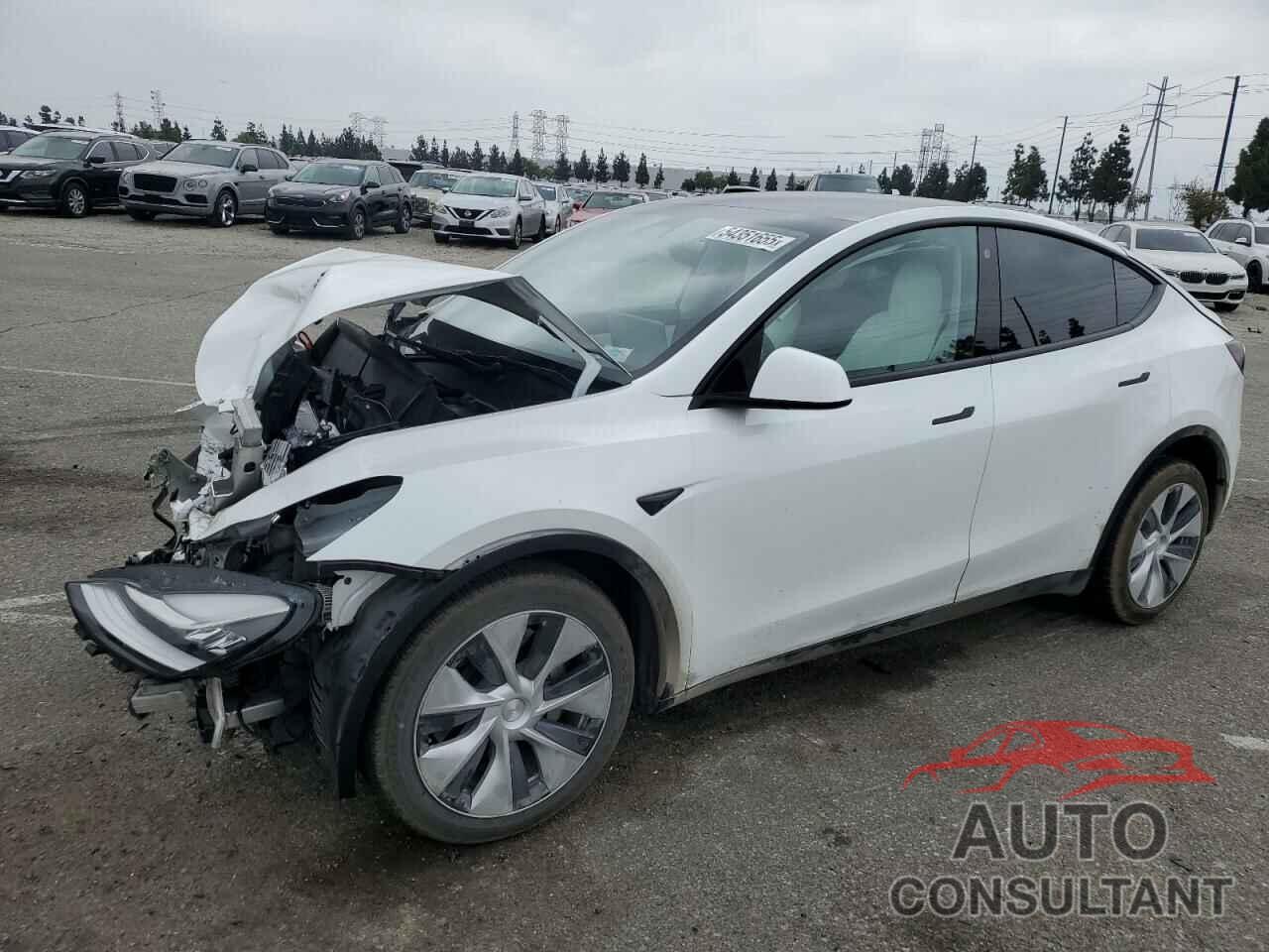 TESLA MODEL Y 2022 - 7SAYGDEE4NF513757