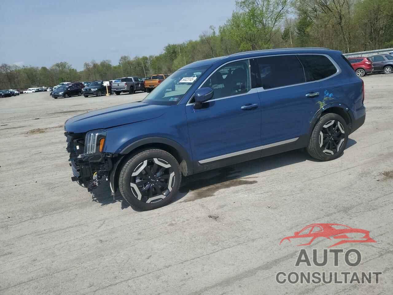 KIA TELLURIDE 2024 - 5XYP6DGC7RG527075