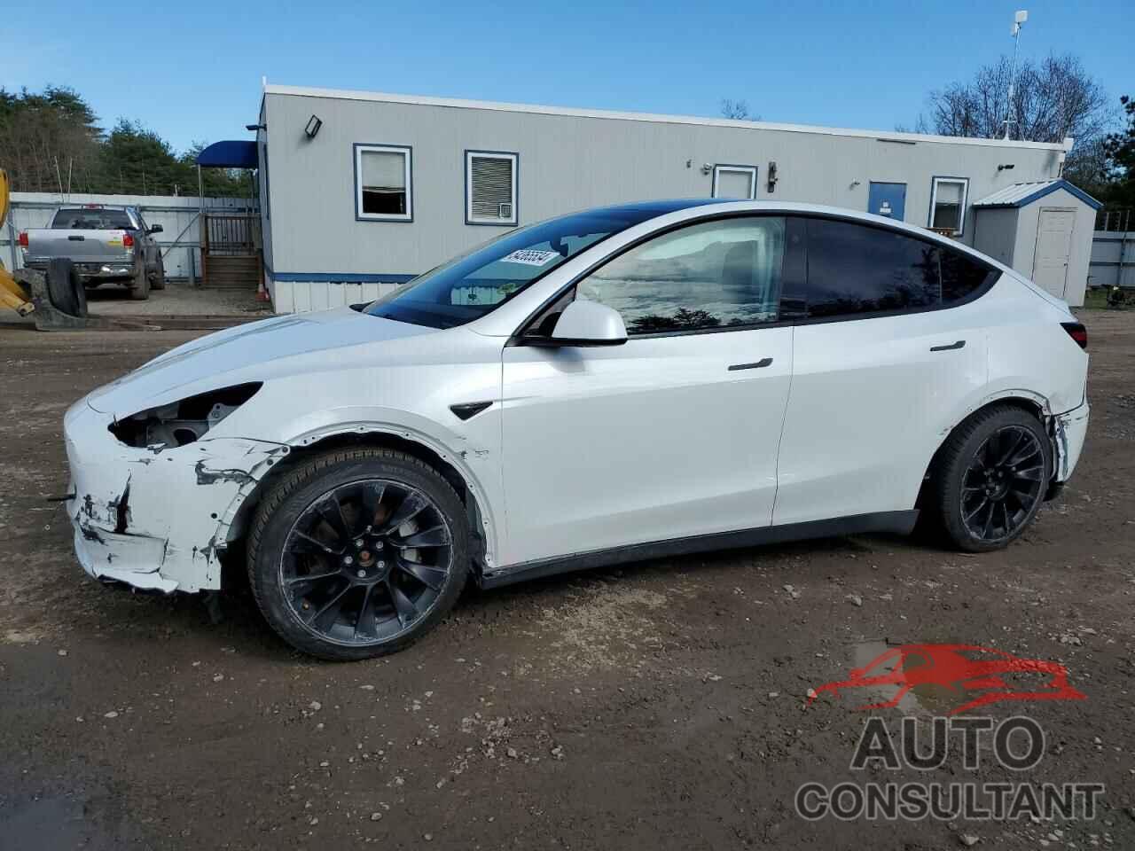 TESLA MODEL Y 2021 - 5YJYGDEE0MF119815