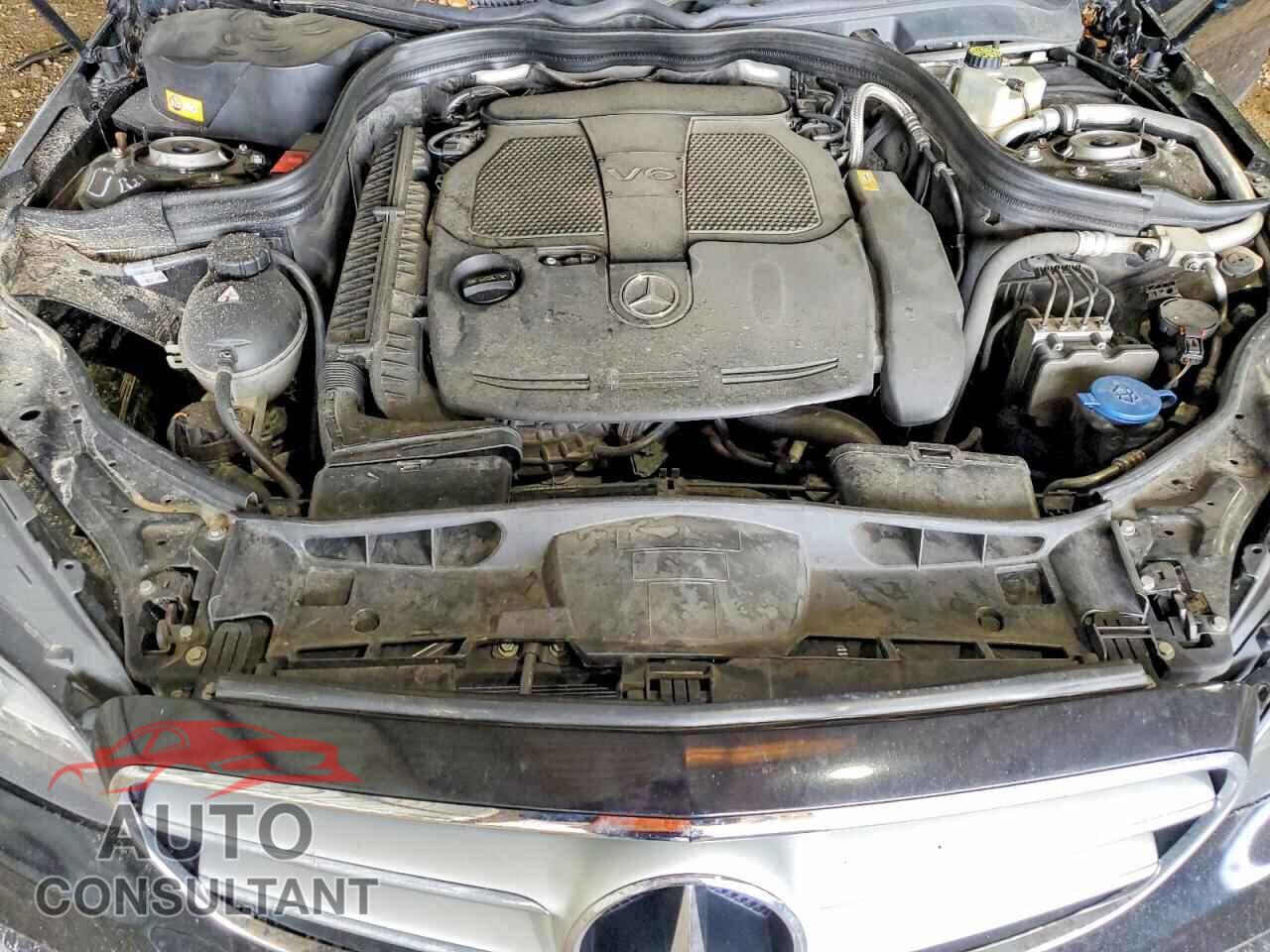 MERCEDES-BENZ E-CLASS 2014 - WDDHF5KB4EA971068