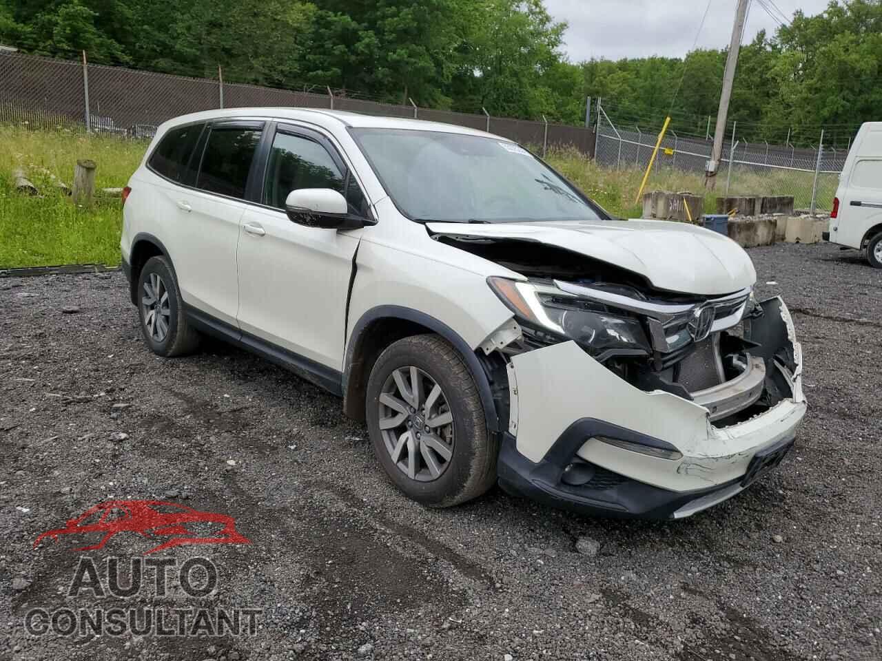 HONDA PILOT 2019 - 5FNYF6H56KB038275