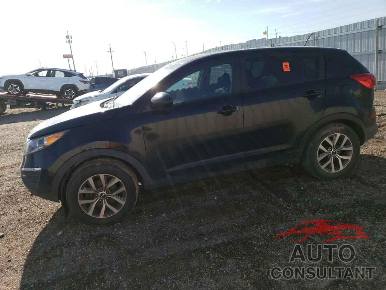 KIA SPORTAGE 2016 - KNDPBCAC6G7880853