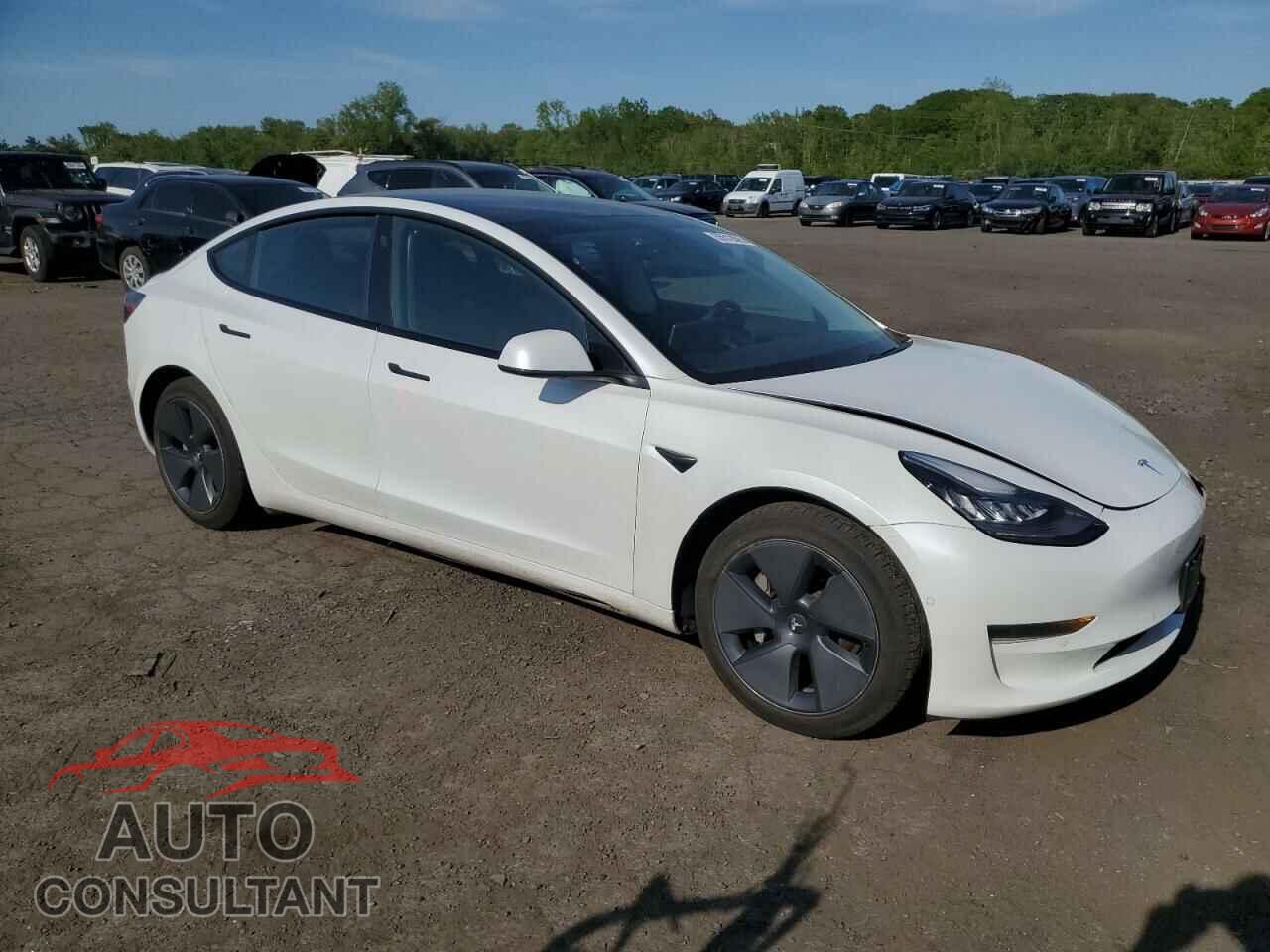 TESLA MODEL 3 2021 - 5YJ3E1EA5MF854785
