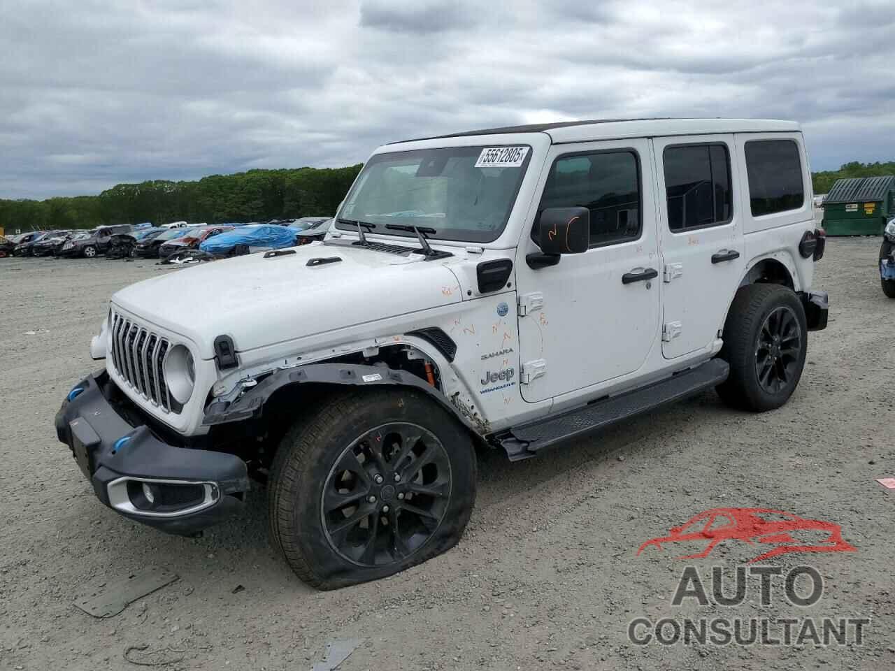 JEEP WRANGLER 2024 - 1C4RJXP63RW321905