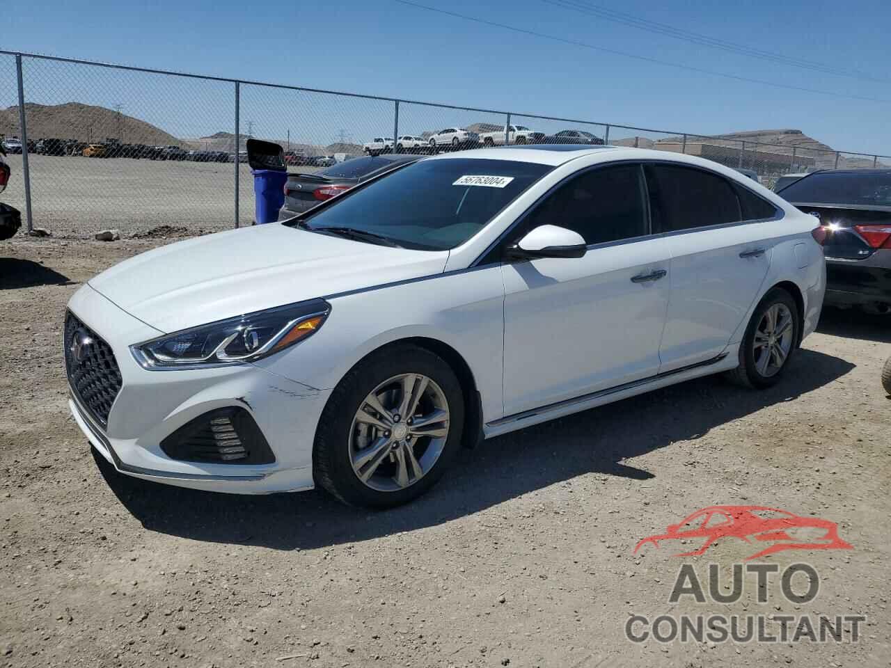 HYUNDAI SONATA 2019 - 5NPE34AF1KH822030