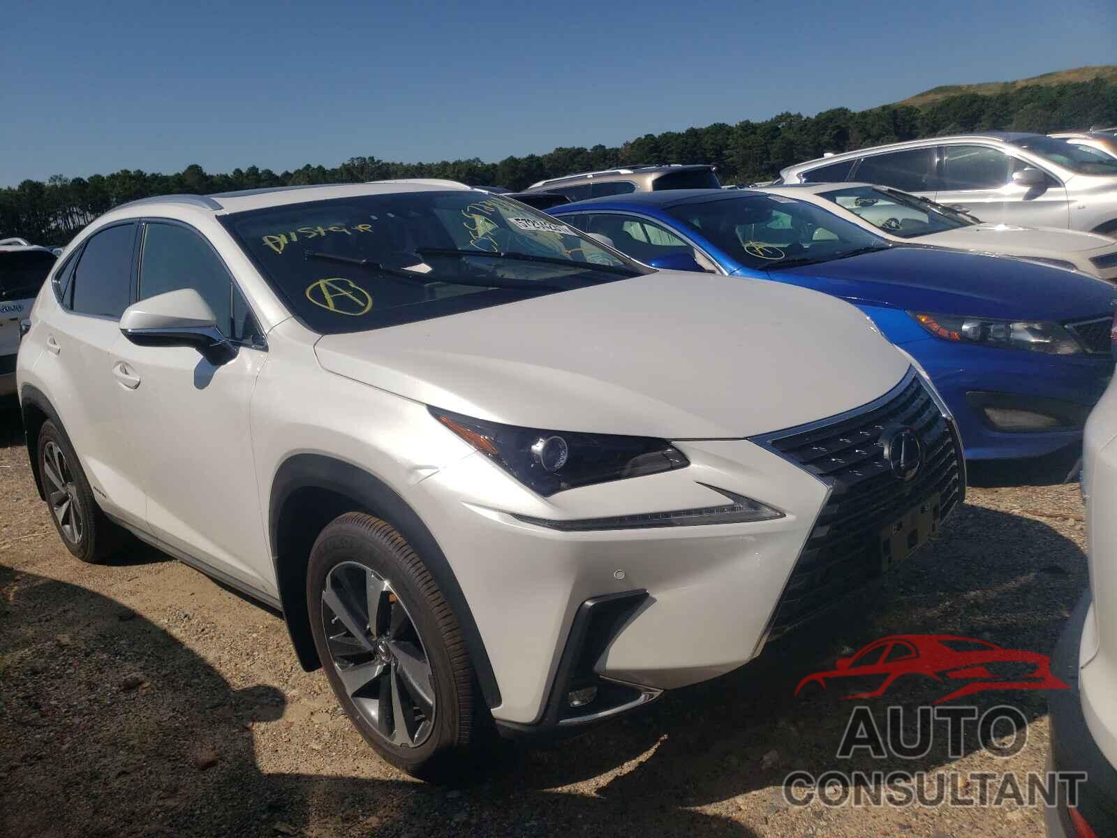 LEXUS NX 2021 - JTJGJRDZ2M5015064