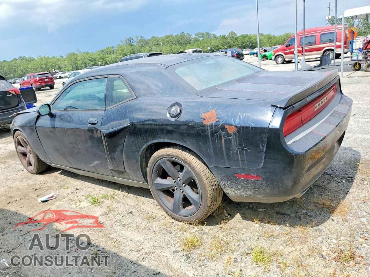 DODGE CHALLENGER 2013 - 2C3CDYBT5DH685657