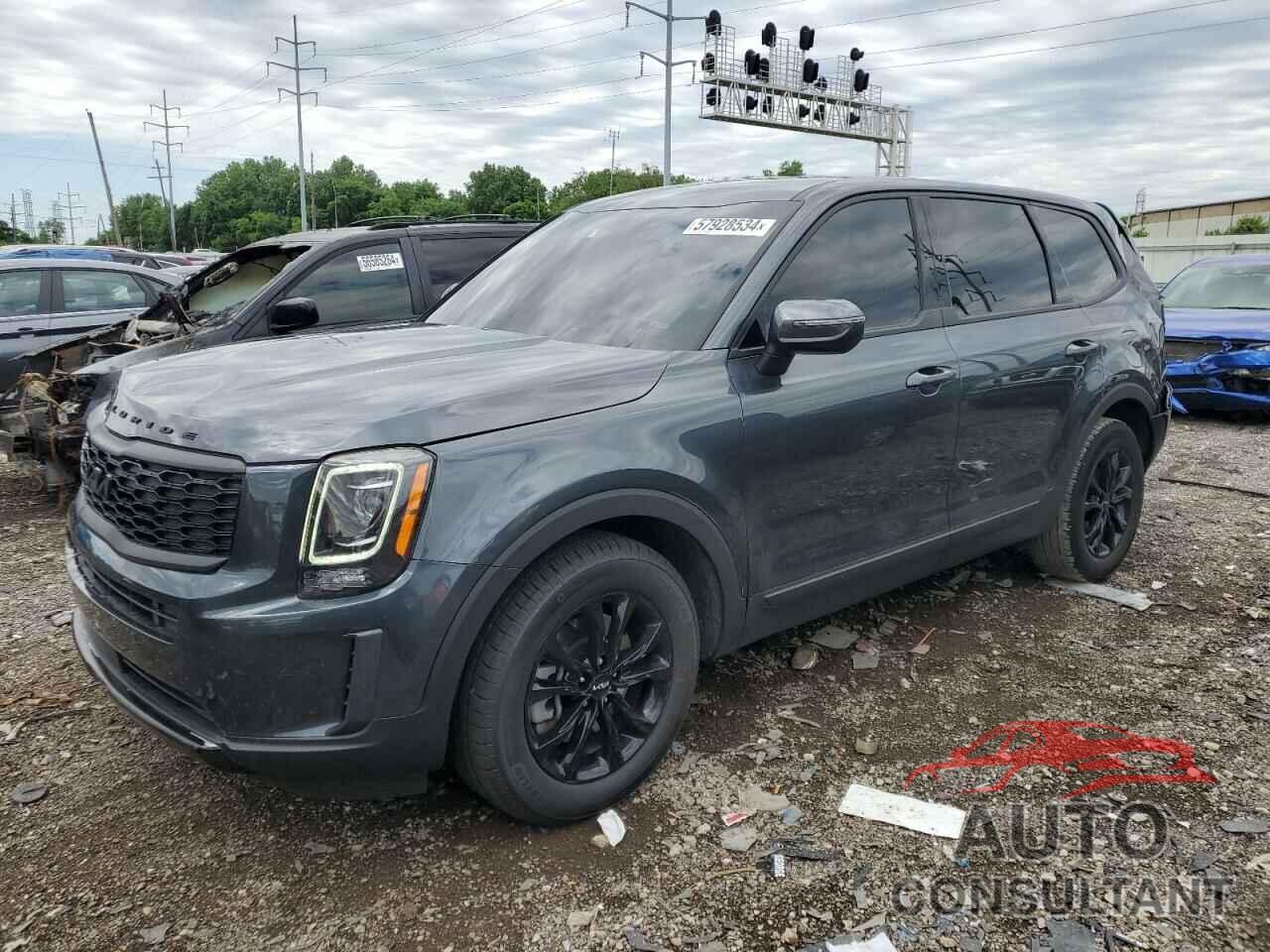 KIA TELLURIDE 2022 - 5XYP2DHC2NG276955