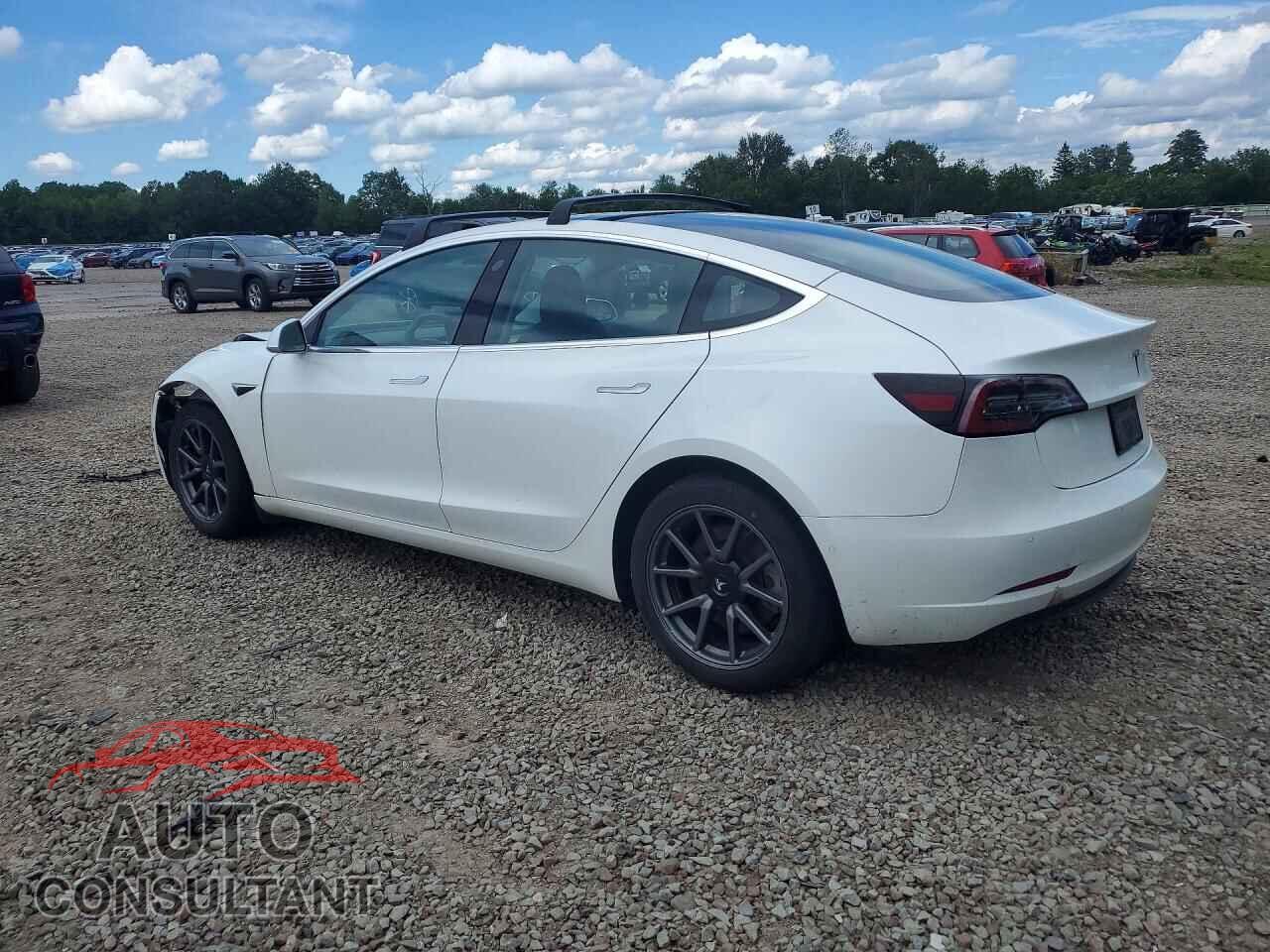 TESLA MODEL 3 2020 - 5YJ3E1EA1LF529470