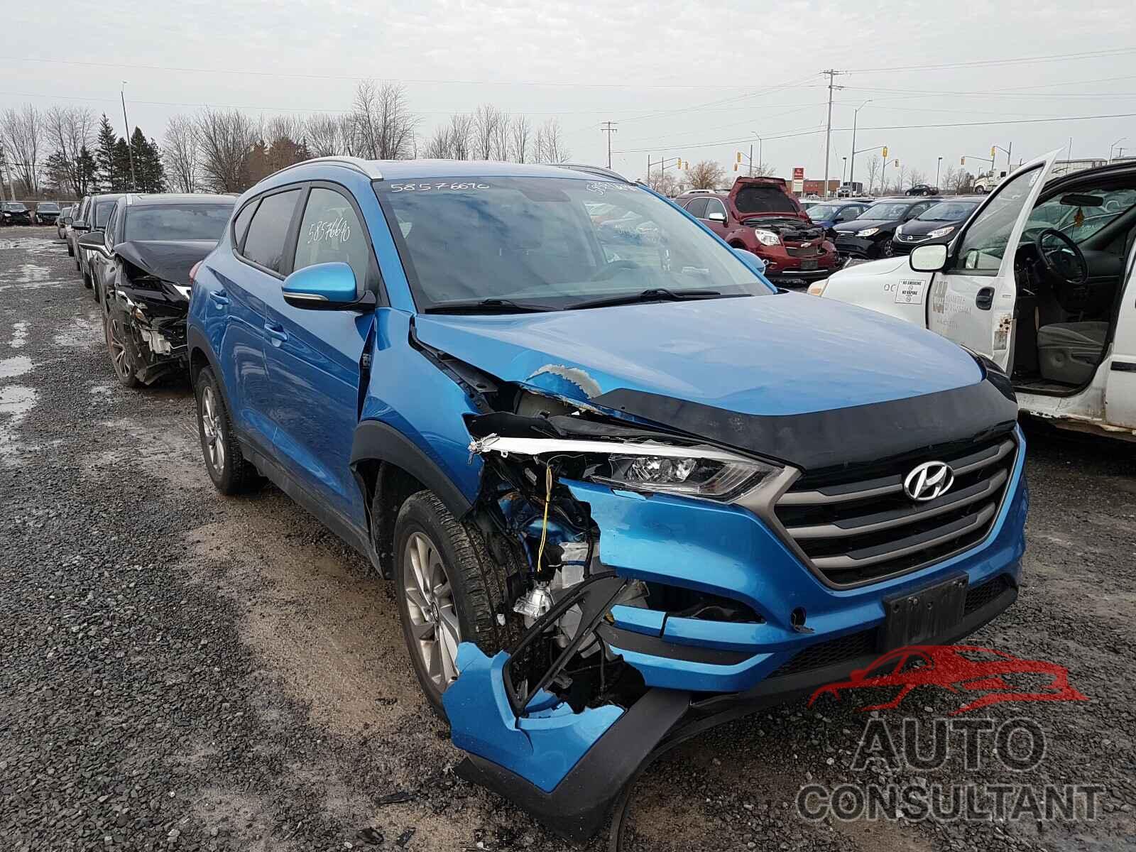 HYUNDAI TUCSON 2016 - KM8J33A49GU180365