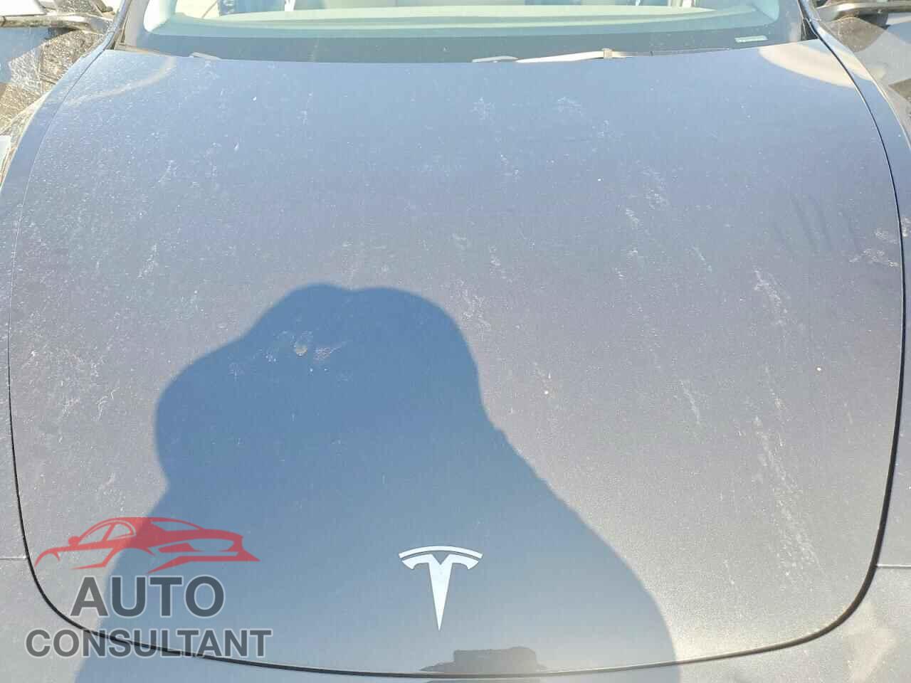 TESLA MODEL 3 2025 - 5YJ3E1EA6SF973832