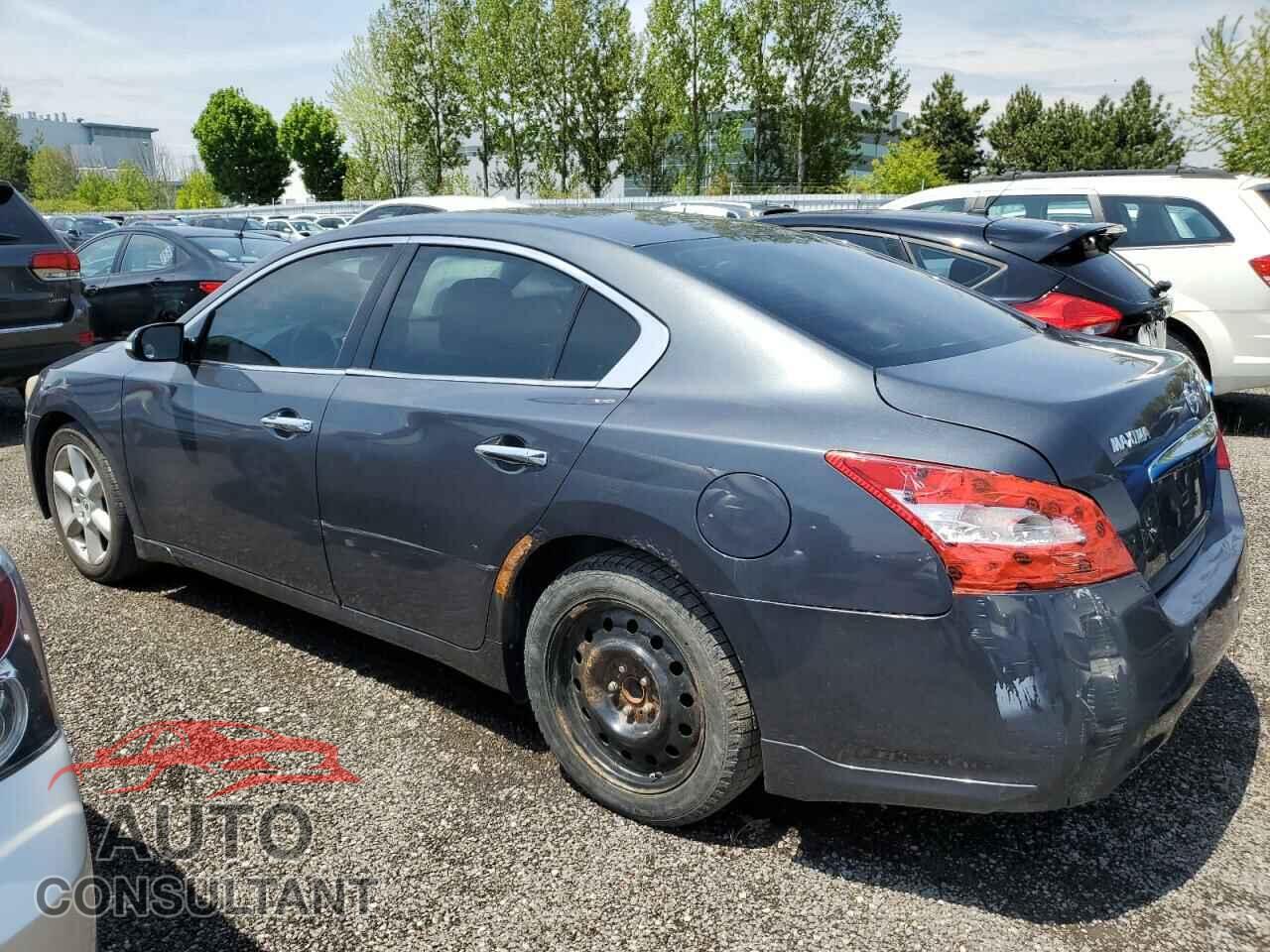 NISSAN MAXIMA 2011 - 1N4AA5AP4BC828845