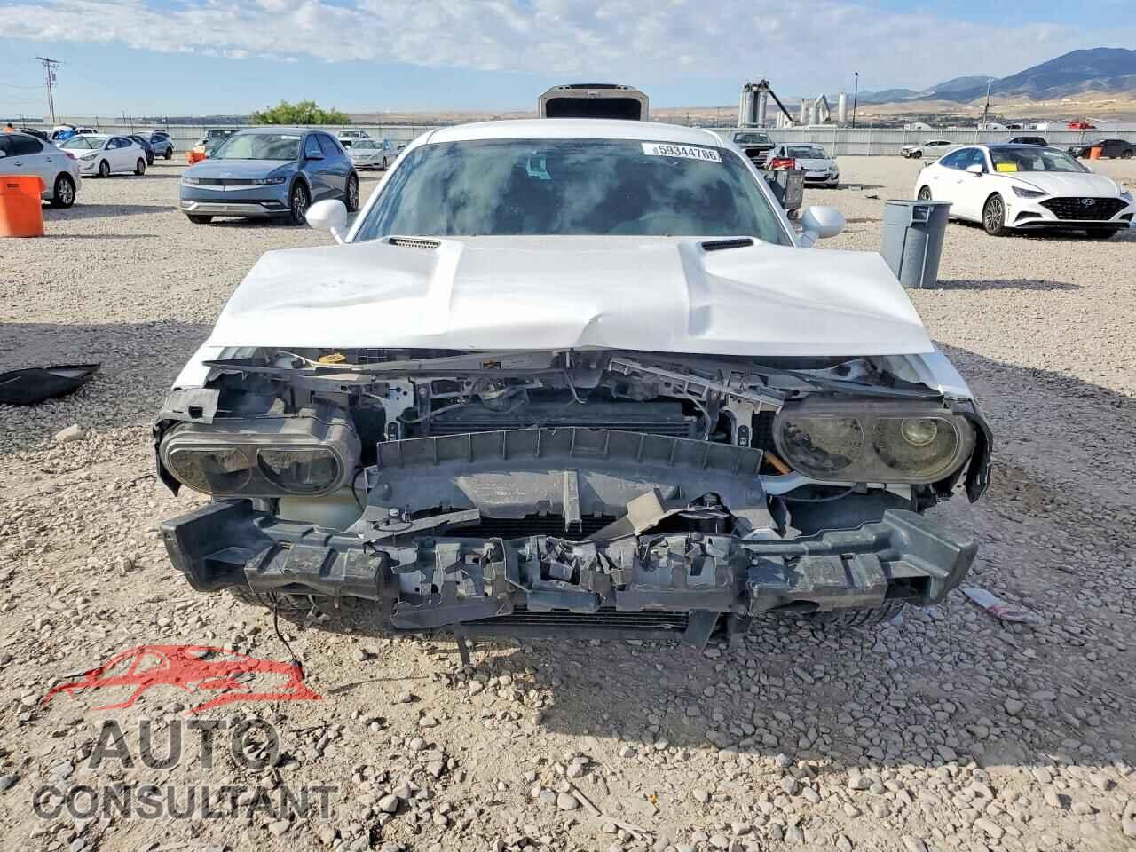 DODGE CHALLENGER 2013 - 2C3CDYAG3DH646098