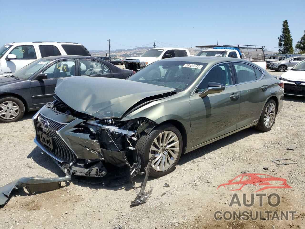 LEXUS ES300 2019 - 58AB21B19KU003493