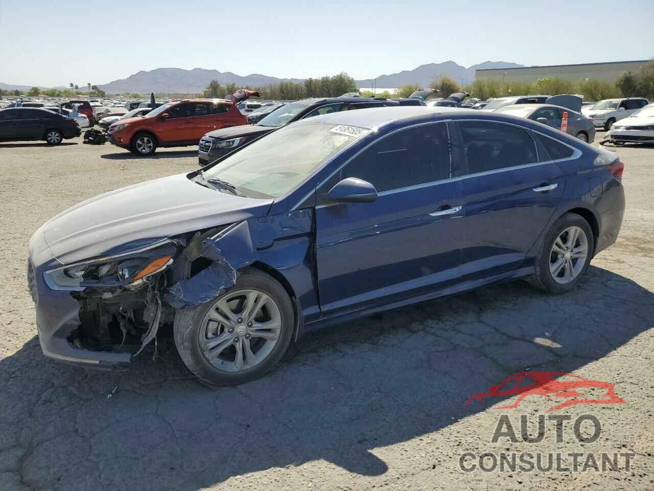 HYUNDAI SONATA 2019 - 5NPE34AF4KH807344