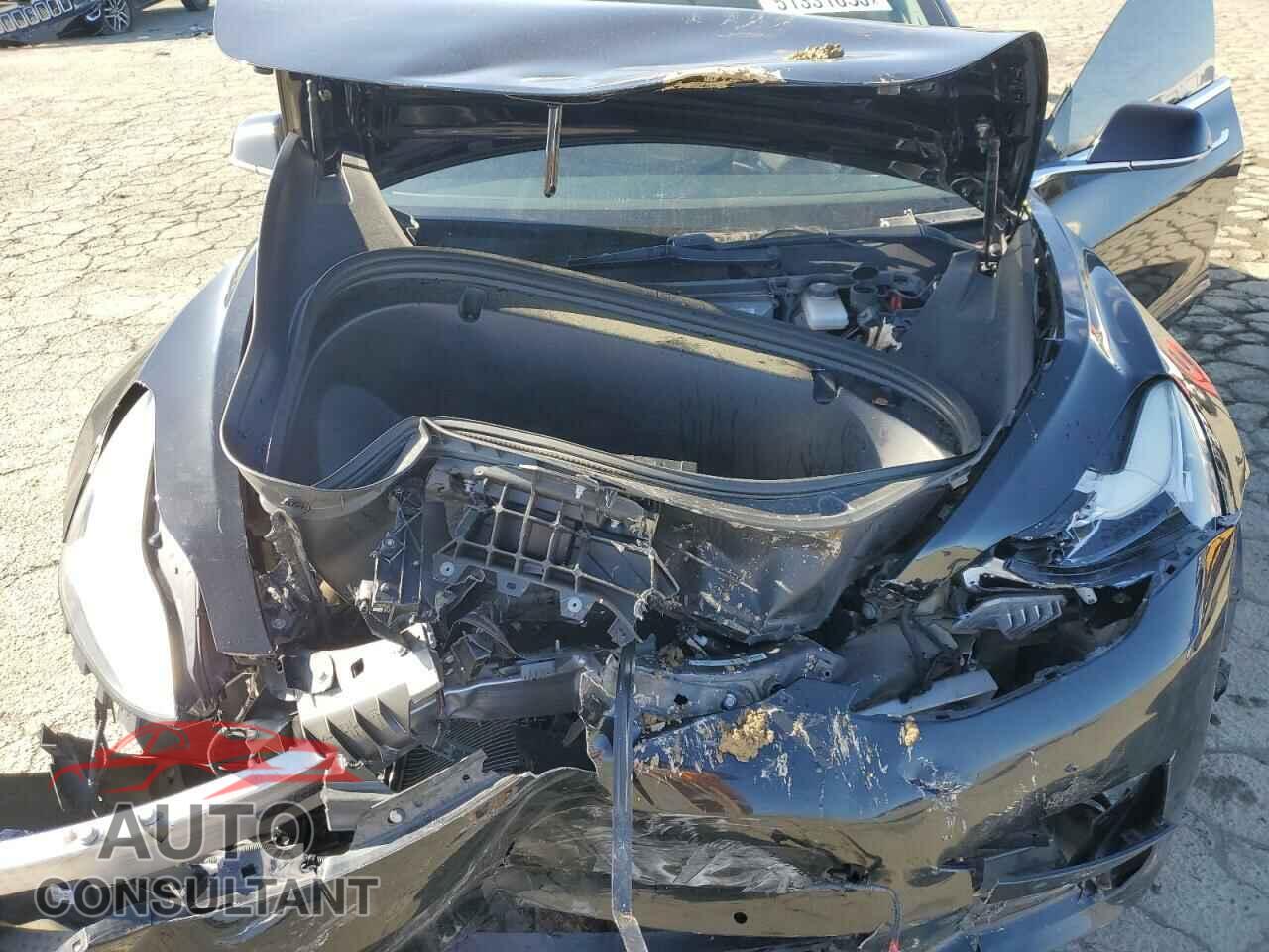 TESLA MODEL 3 2019 - 5YJ3E1EA8KF424584