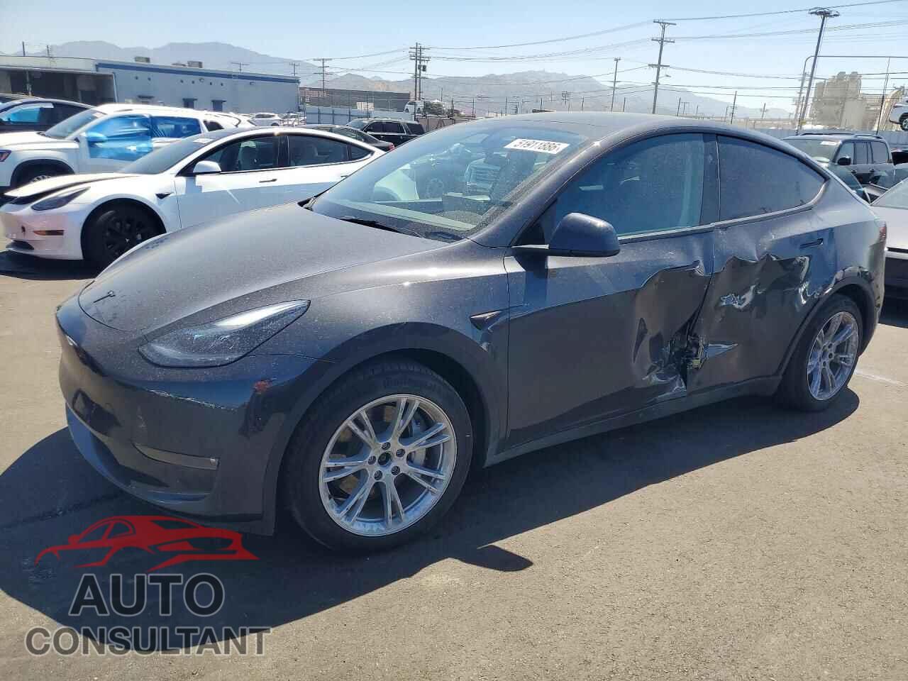 TESLA MODEL Y 2024 - 7SAYGAEE8RF027960