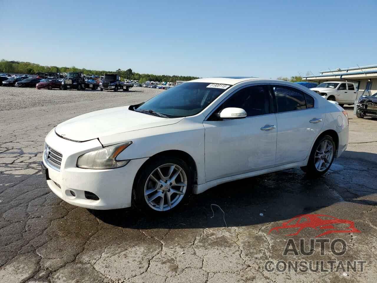 NISSAN MAXIMA 2011 - 1N4AA5APXBC803464