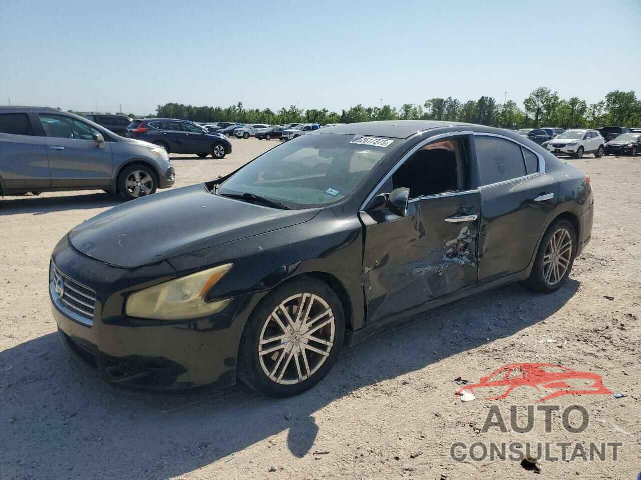 NISSAN MAXIMA 2009 - 1N4AA51E69C856493