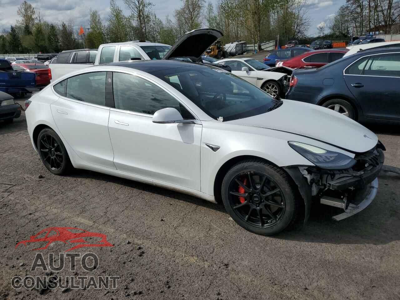 TESLA MODEL 3 2019 - 5YJ3E1EBXKF487064