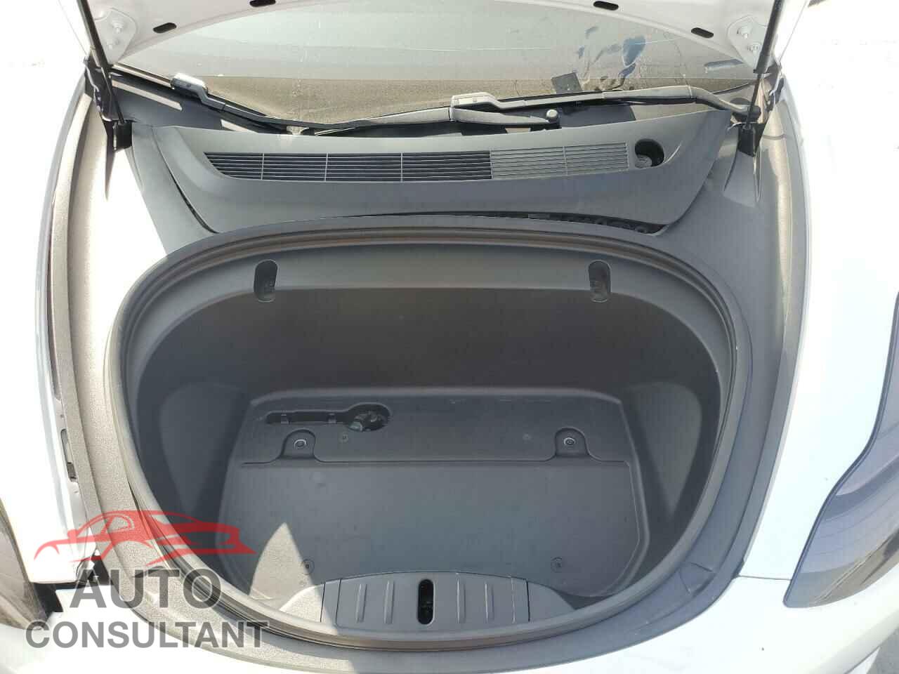 TESLA MODEL 3 2020 - 5YJ3E1EA8LF613351