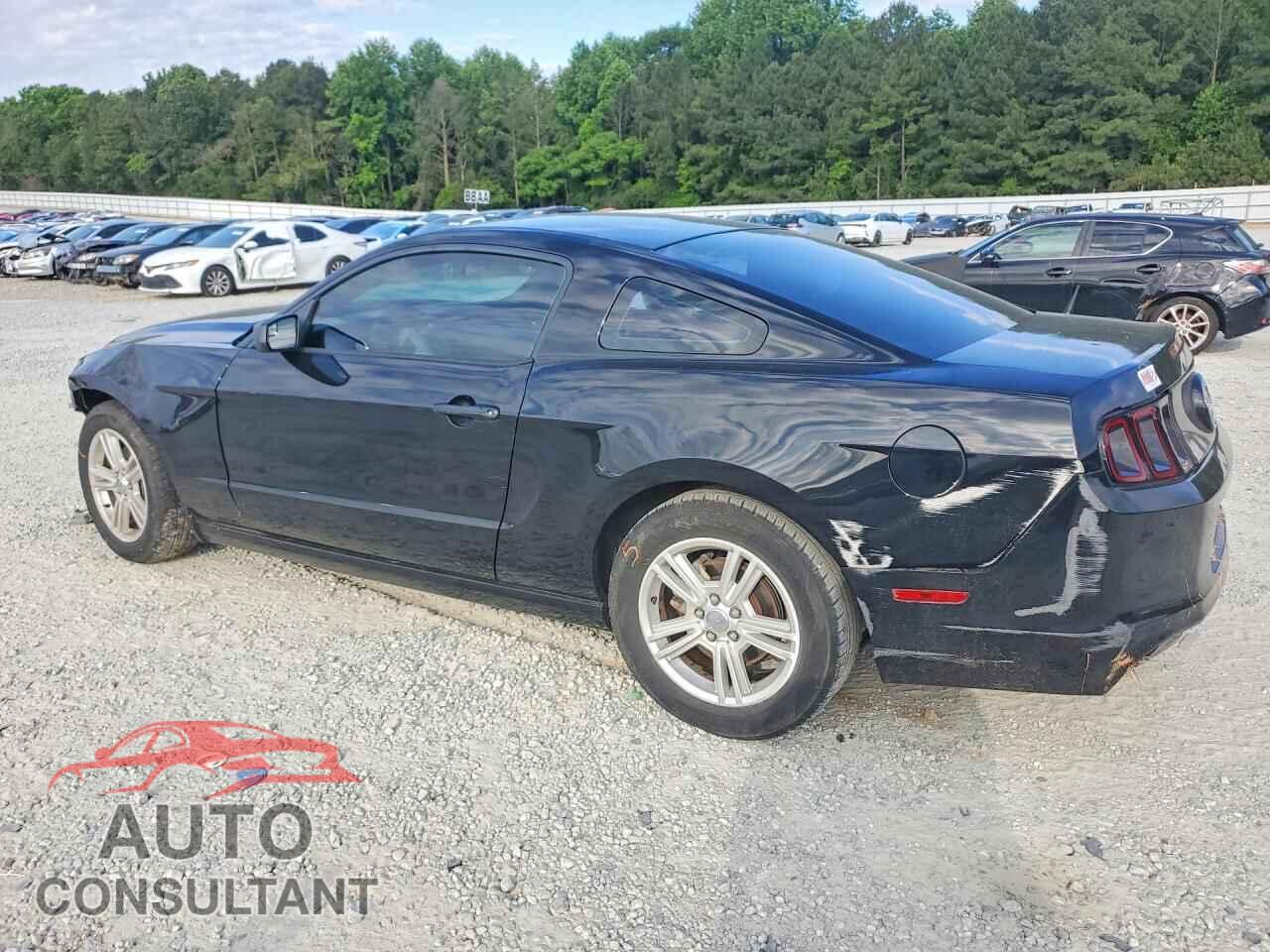 FORD MUSTANG 2014 - 1ZVBP8AM9E5286443