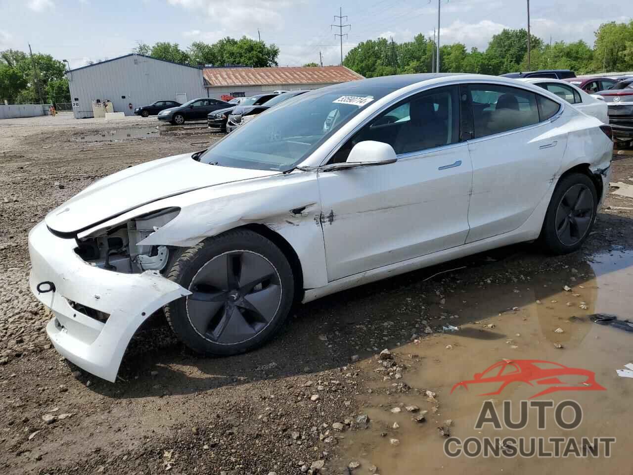 TESLA MODEL 3 2019 - 5YJ3E1EB0KF433241