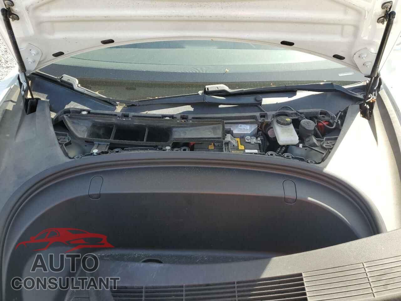 TESLA MODEL 3 2019 - 5YJ3E1EA0KF484178