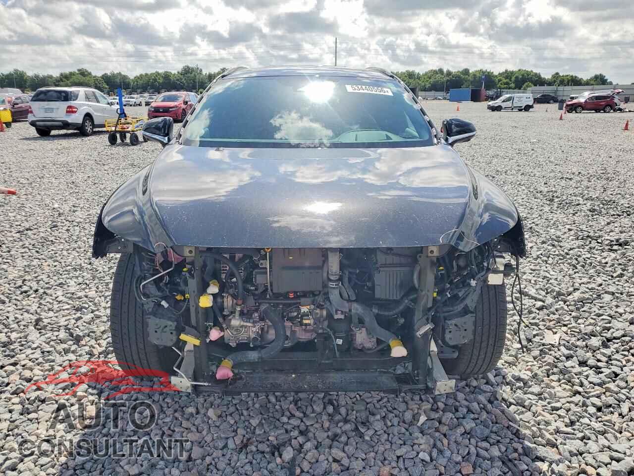 LEXUS RX350 2023 - 2T2BAMCA7PC015267