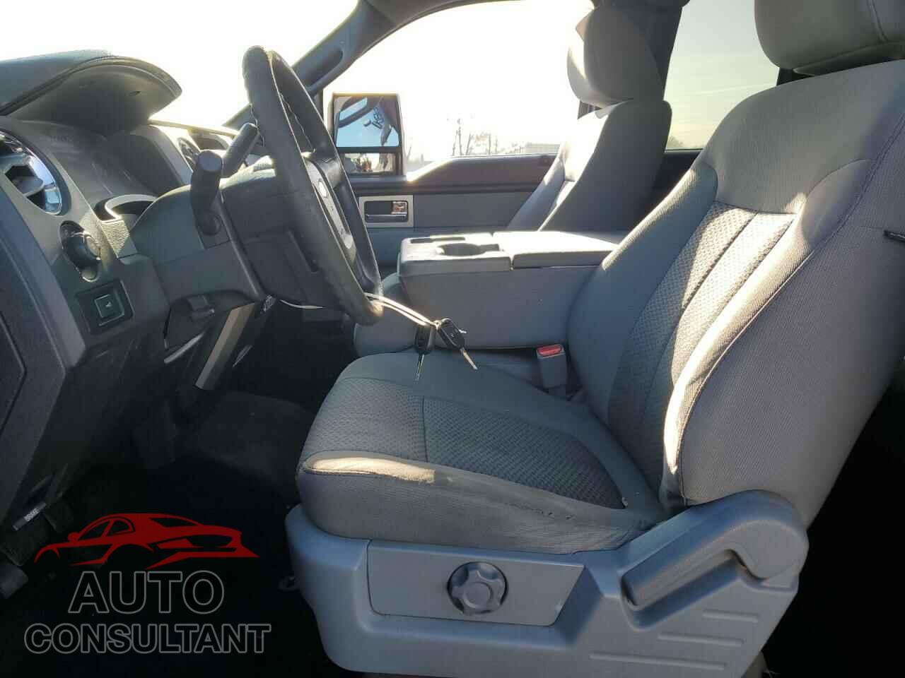 FORD F-150 2011 - 1FTFX1EF9BFA05013