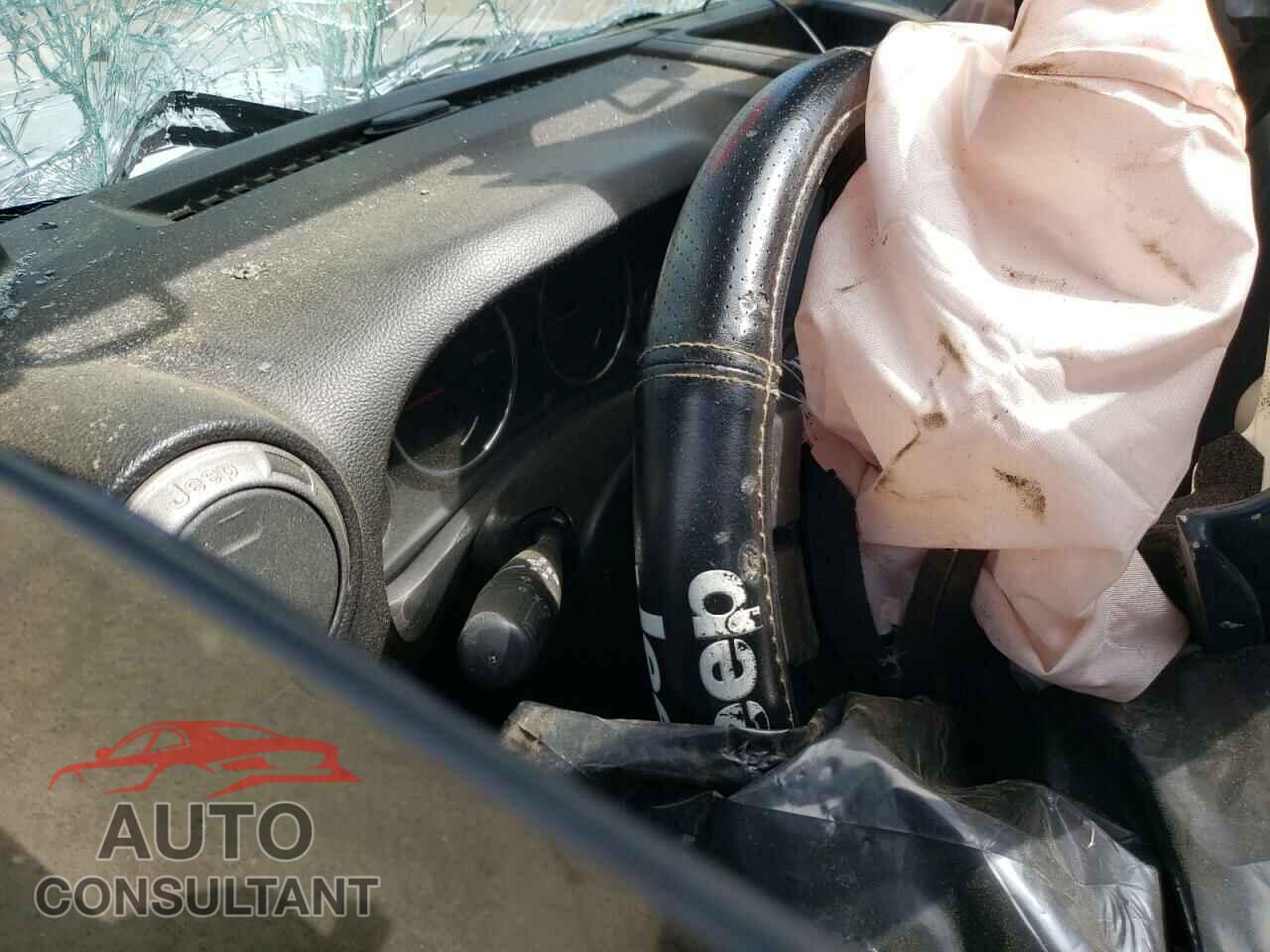 JEEP WRANGLER 2011 - 1J4AA2D13BL594207