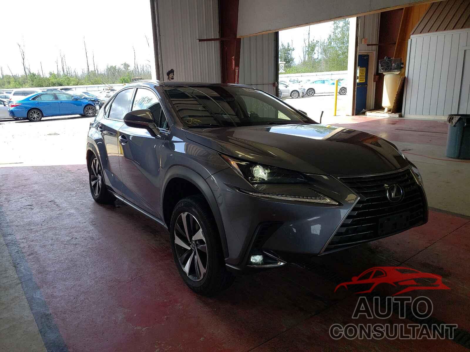 LEXUS NX 2020 - JTJGARDZXL5017871