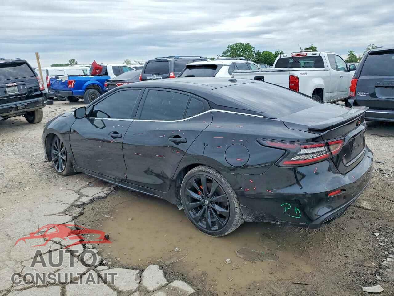 NISSAN MAXIMA 2021 - 1N4AA6EV3MC513245