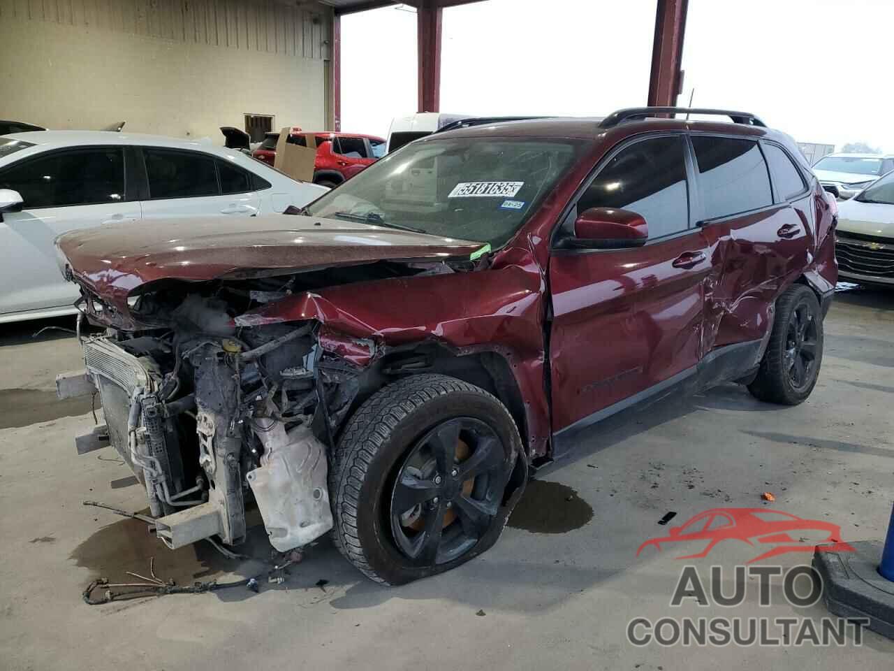 JEEP GRAND CHER 2019 - 1C4PJLLB2KD411308