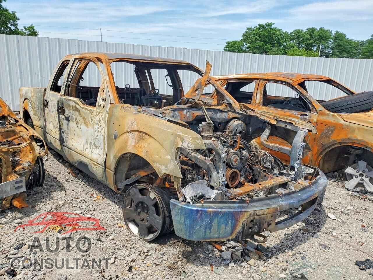 FORD F150 2013 - 1FTFW1EF7DFD57206