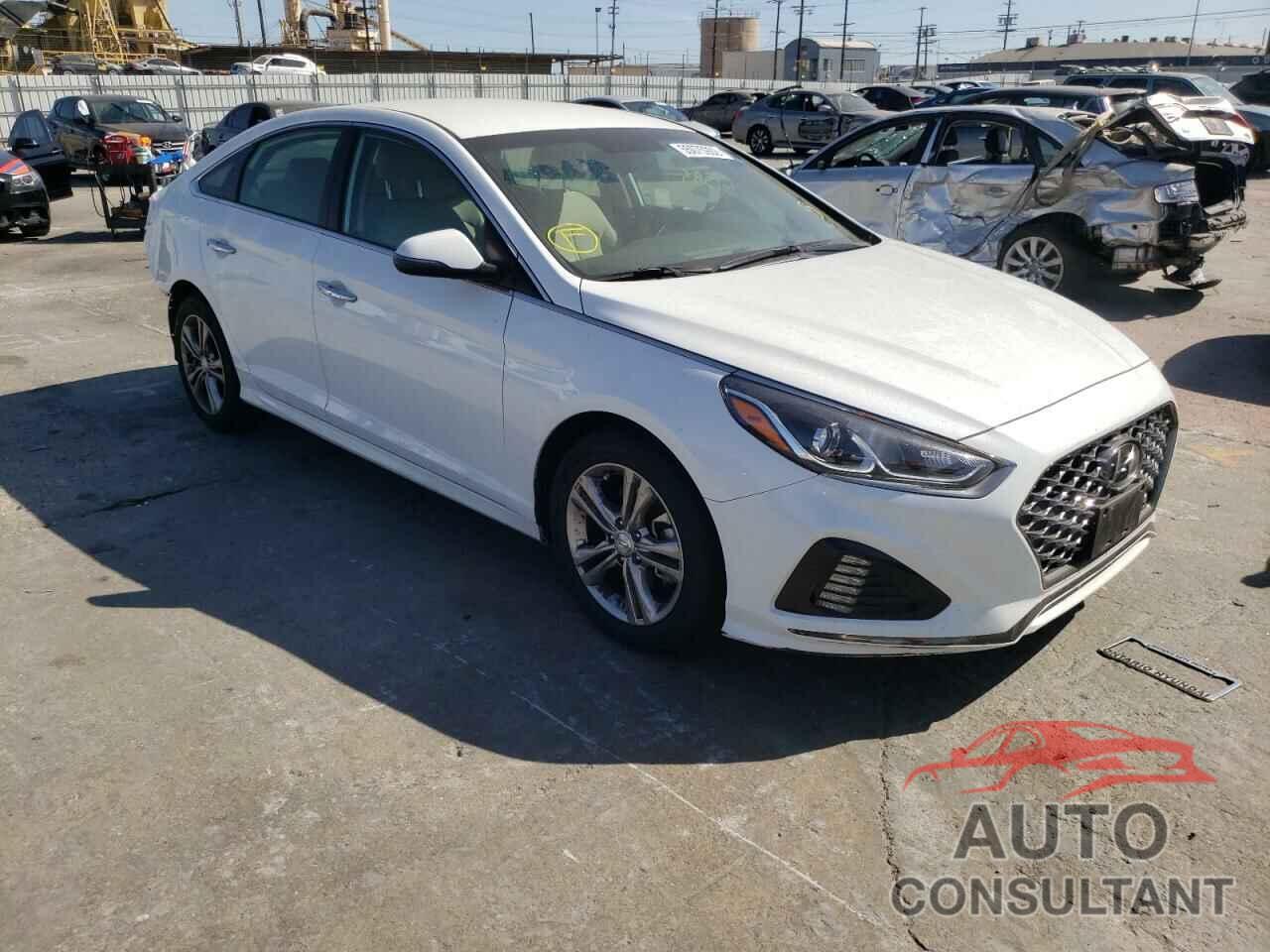 HYUNDAI SONATA 2019 - 5NPE34AF3KH765989
