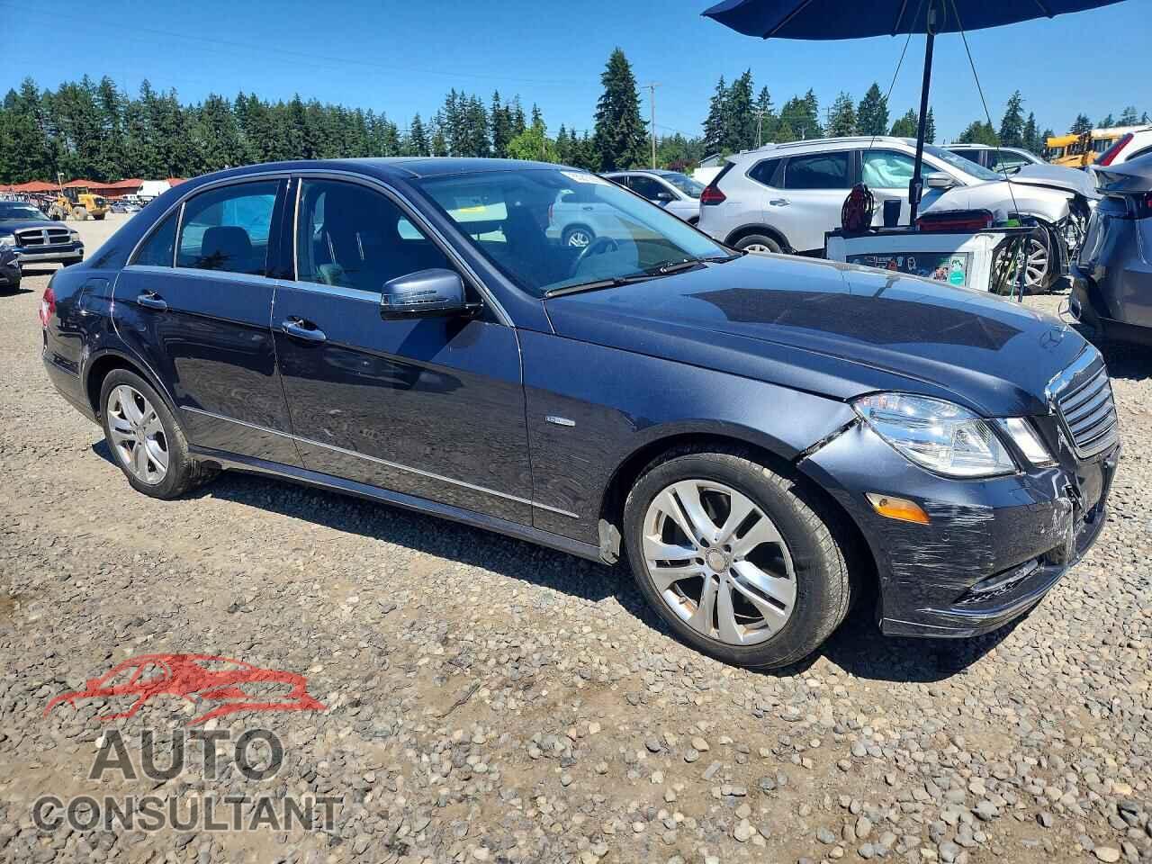 MERCEDES-BENZ E-CLASS 2011 - WDDHF2EB9BA465659