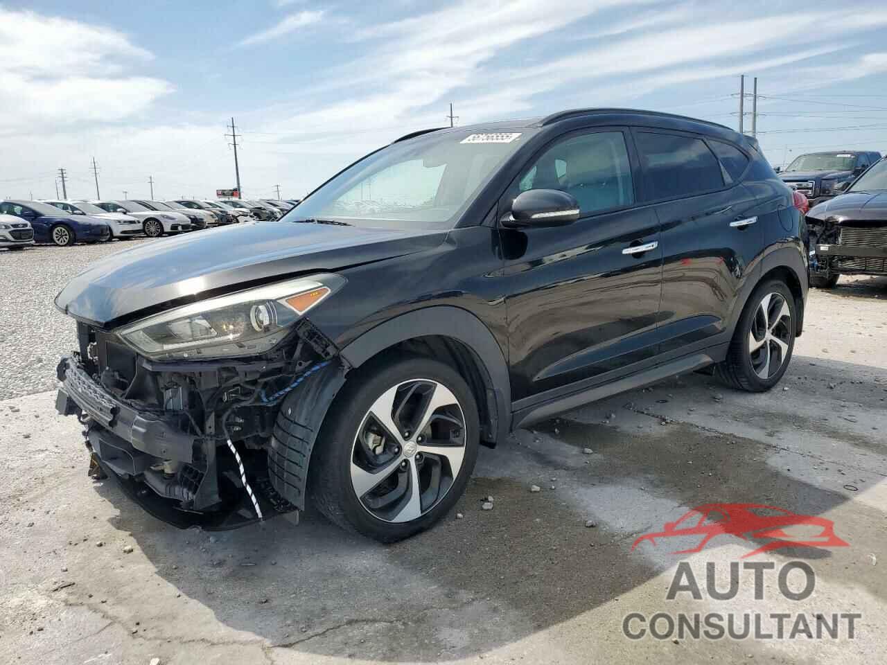 HYUNDAI TUCSON 2016 - KM8J33A22GU221126