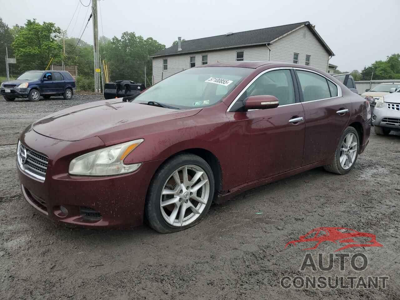 NISSAN MAXIMA 2010 - 1N4AA5AP7AC836369