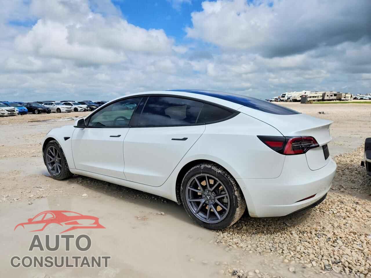 TESLA MODEL 3 2021 - 5YJ3E1EA3MF017274